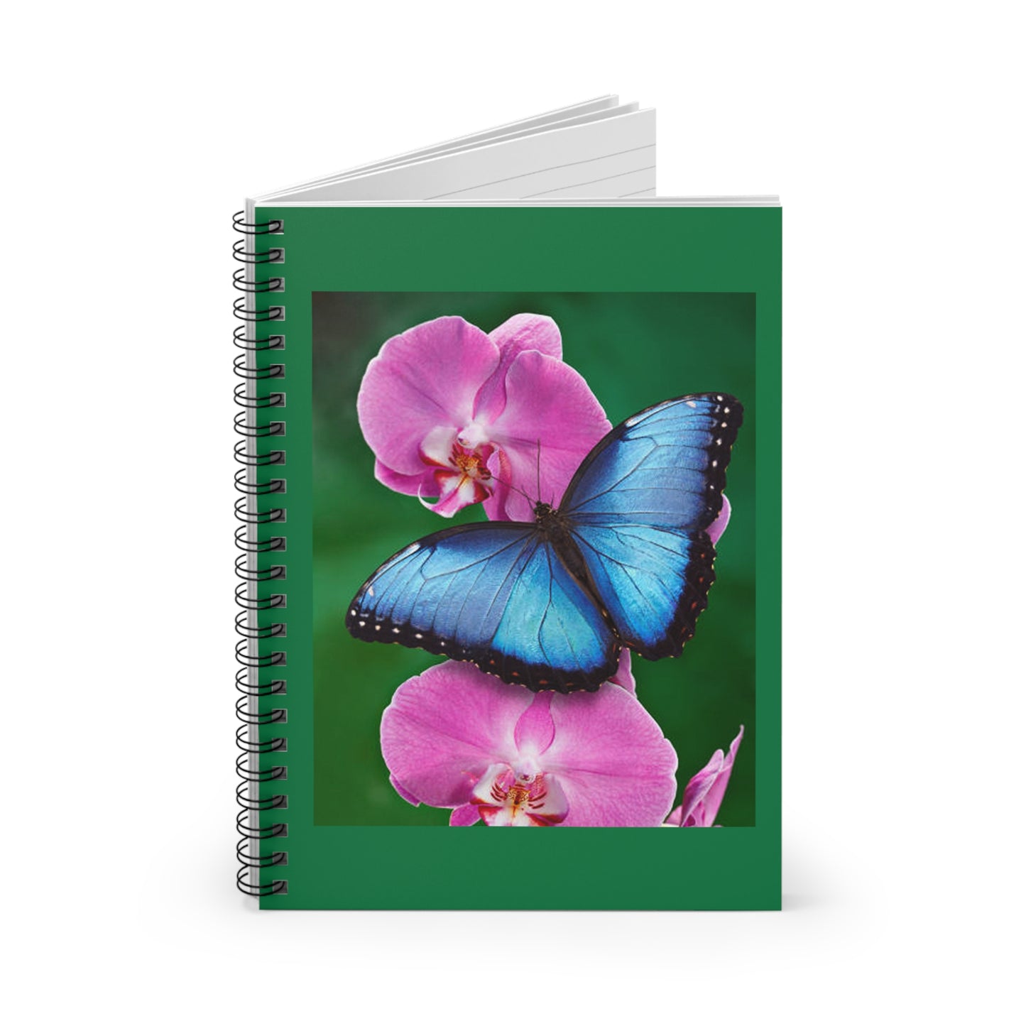 Notebook -6" x 8" /  RB 8
