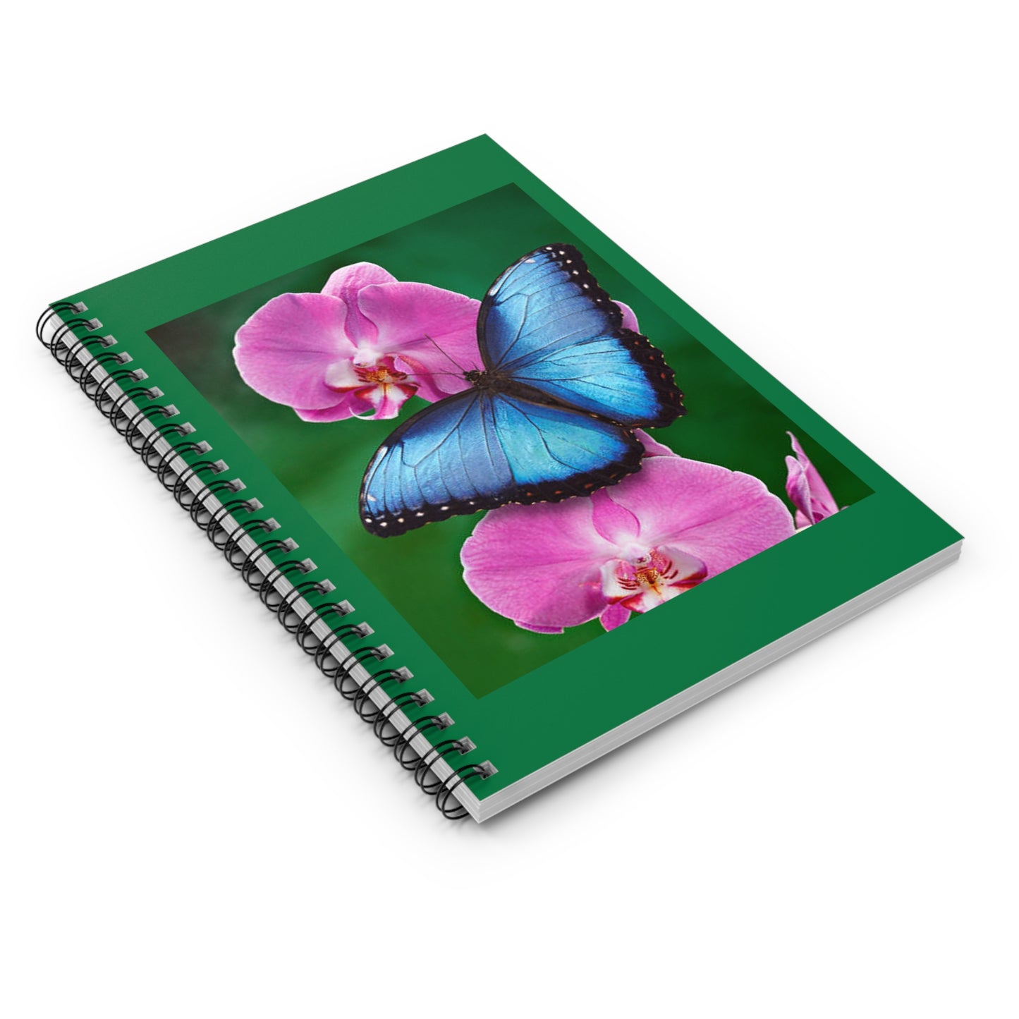 Notebook -6" x 8" /  RB 8