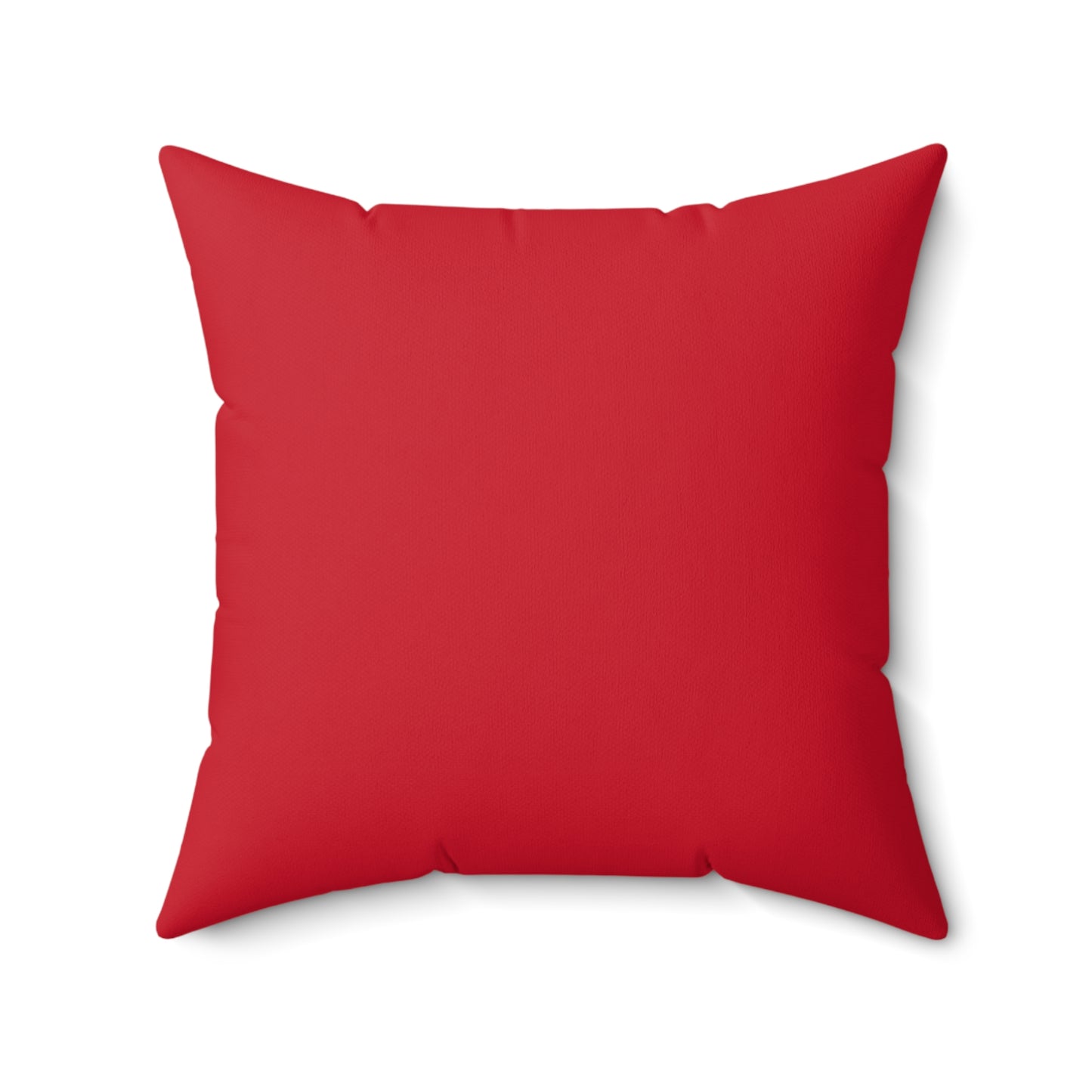 Pillow -polyester /ai11