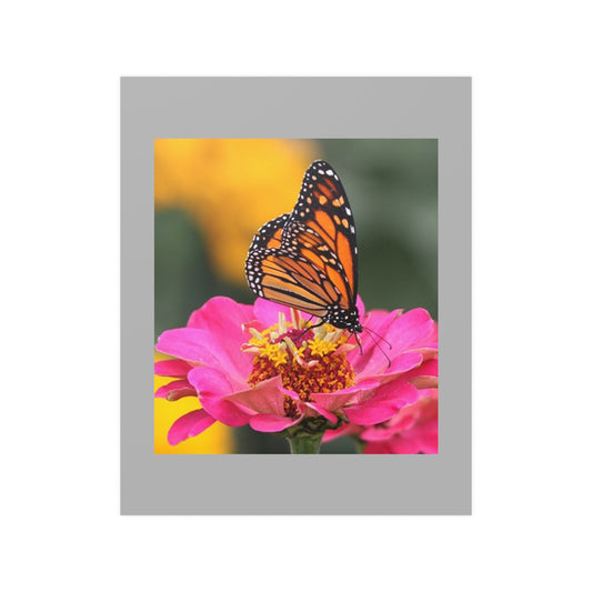 16" x 20" Poster / RB 2