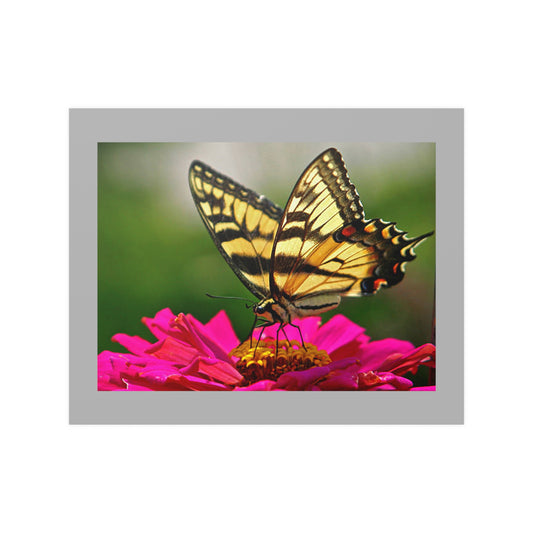 20" x 16" Poster / RB 6